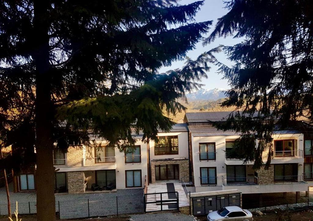 Apartamento R&R Vibes Villa La Angostura Exterior foto